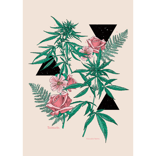 ポスター 「Botanical Cannabis (ボタニカル カンナビス)」