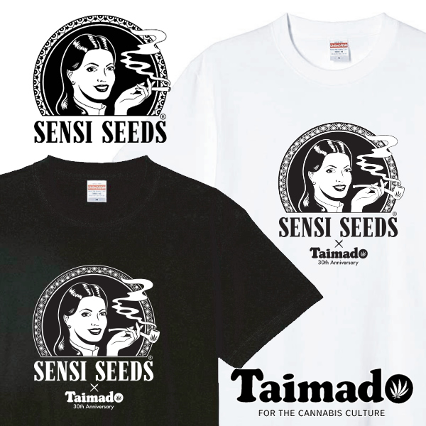 Tシャツ「SENSI SEEDS (センシシード) × 大麻堂 ロゴTシャツ」[No.339]【★購入特典　センシシードグッズつき】